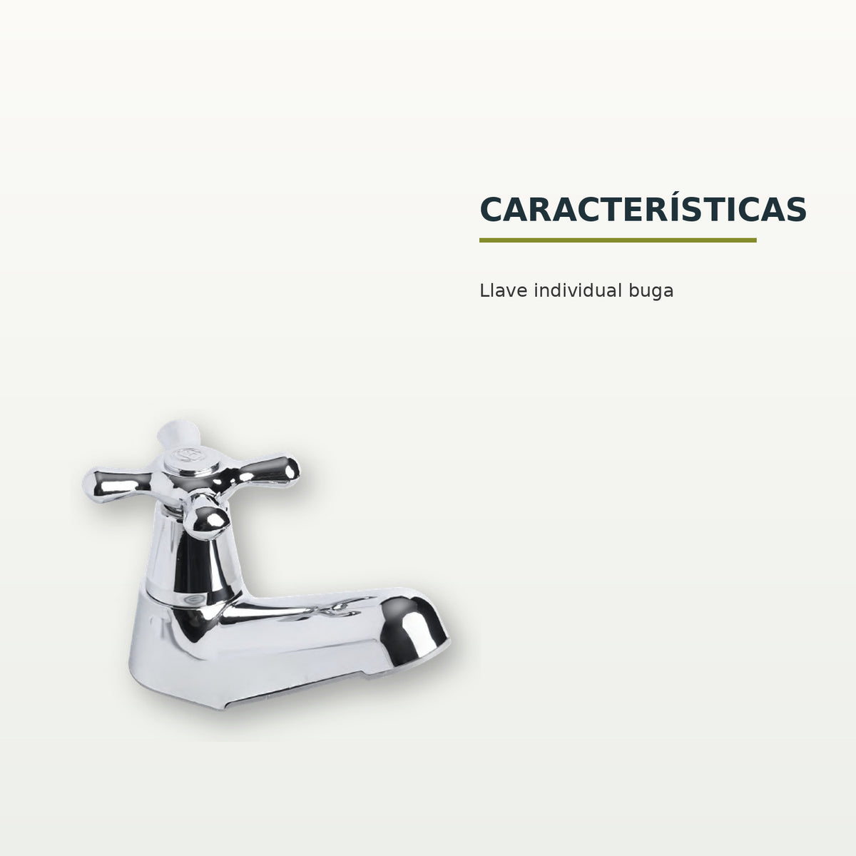 Características confirmadas del producto