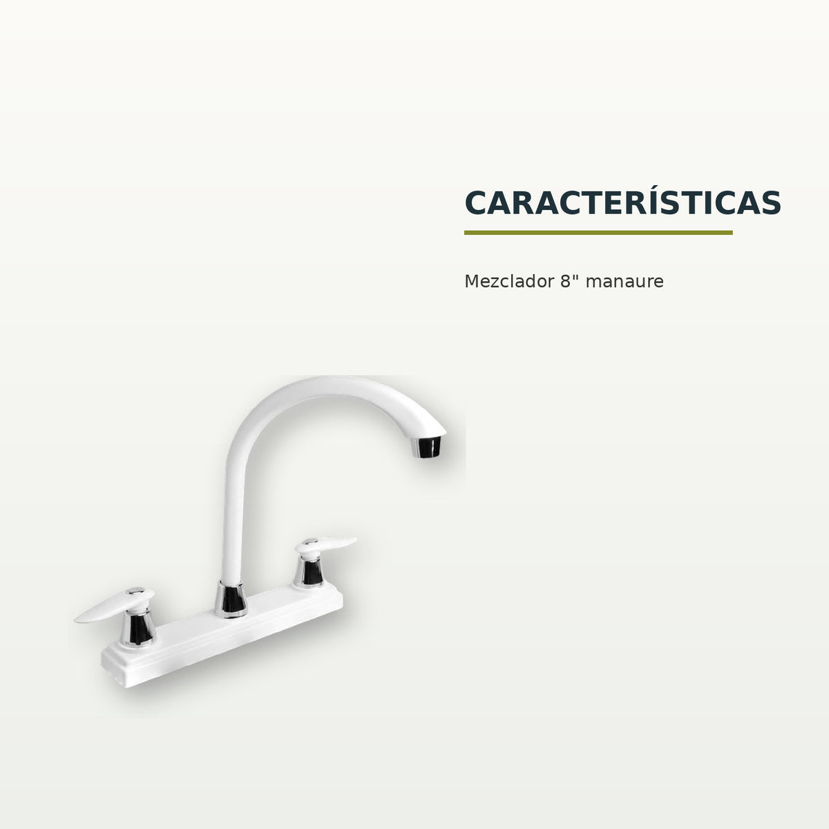 Características confirmadas del producto