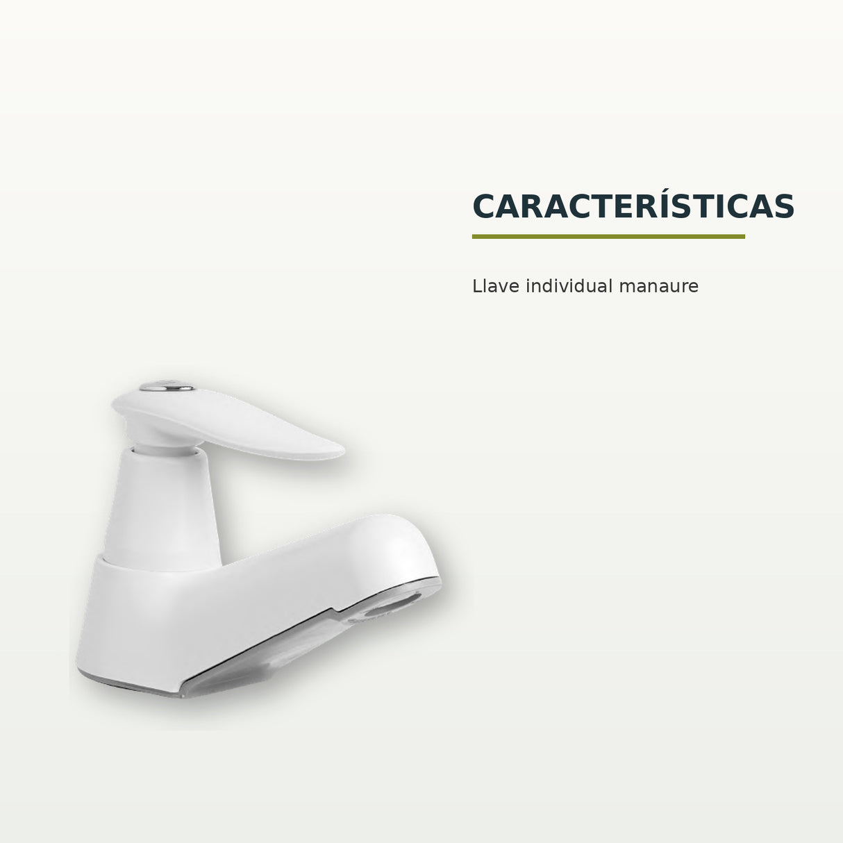 Características confirmadas del producto