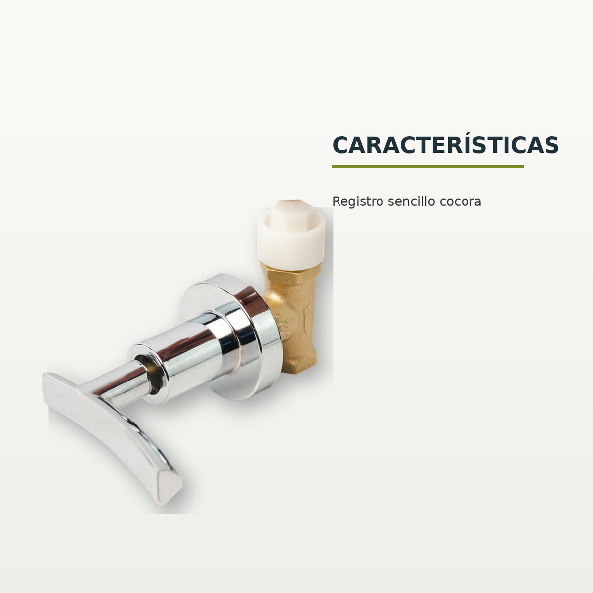 Características confirmadas del registro
