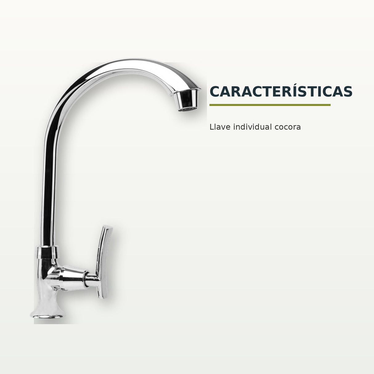Características confirmadas del producto