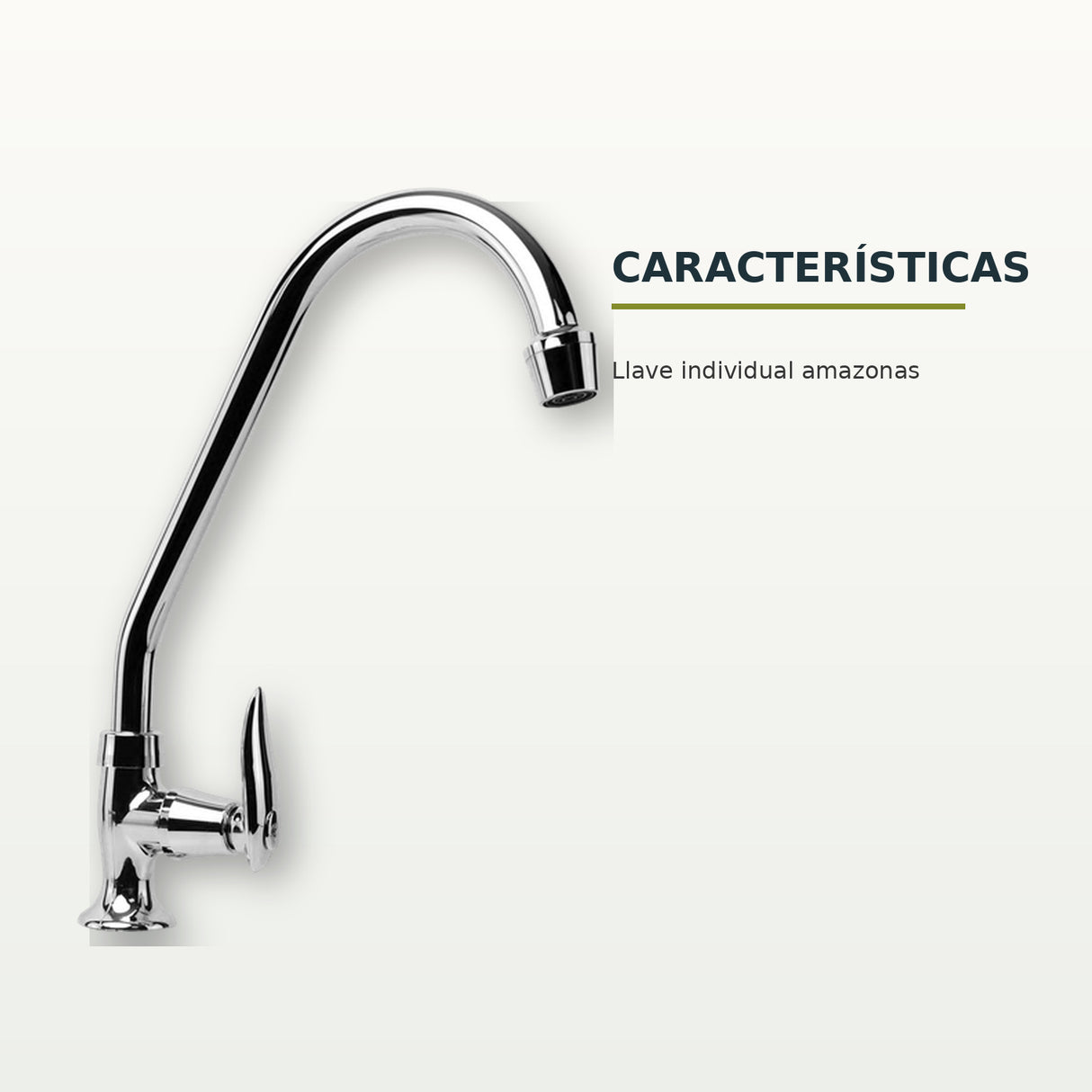 Características confirmadas del producto