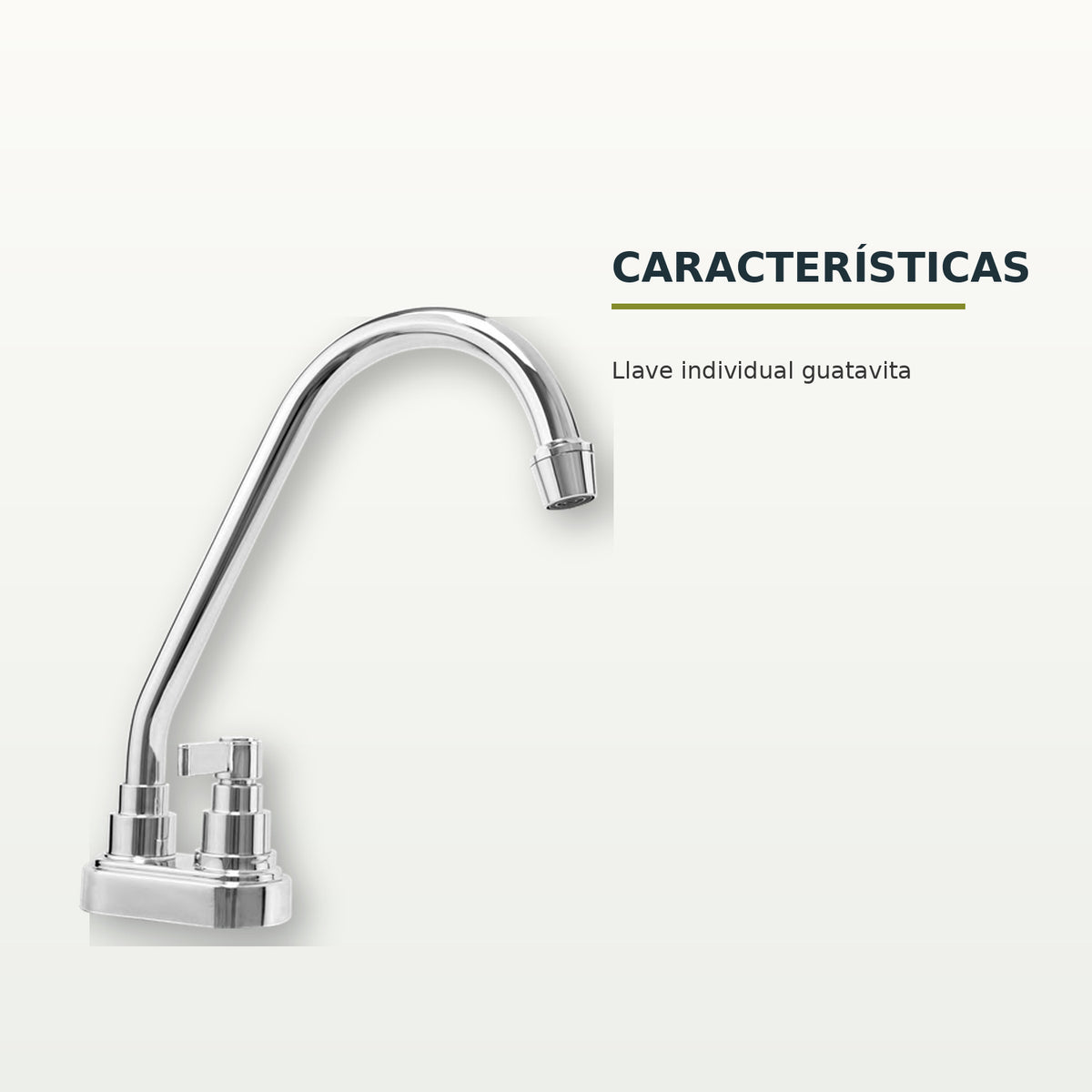 Características confirmadas del producto