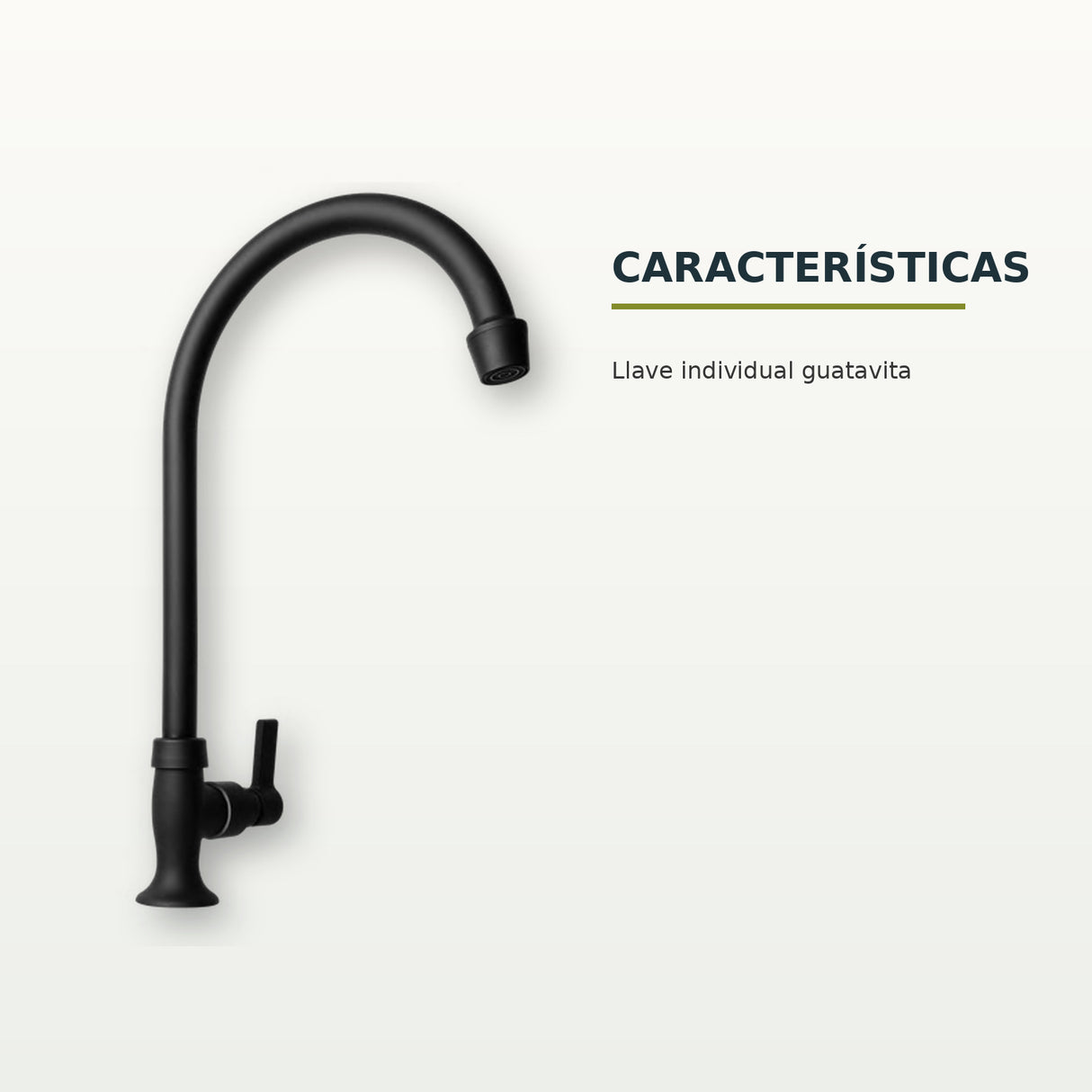 Características confirmadas del producto