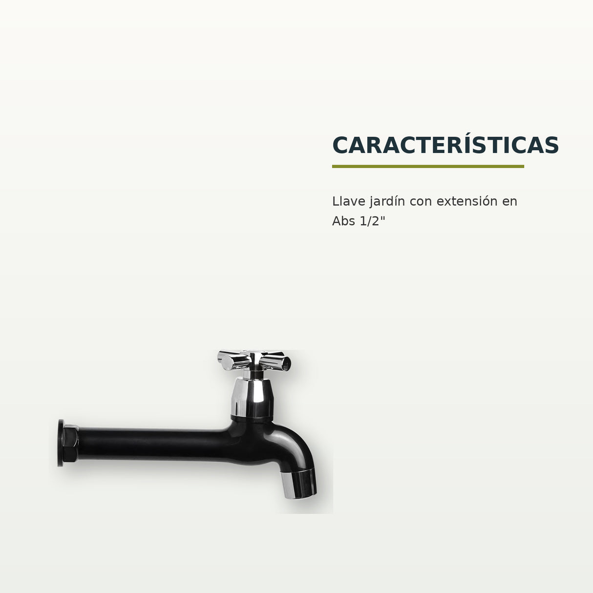 Características confirmadas del producto