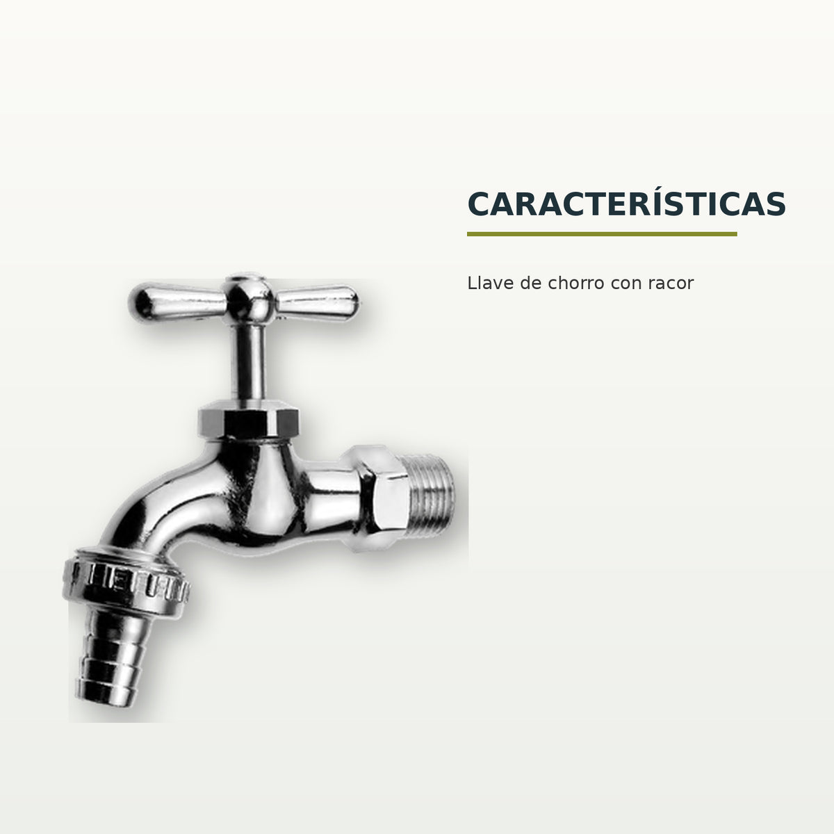 Características confirmadas del producto