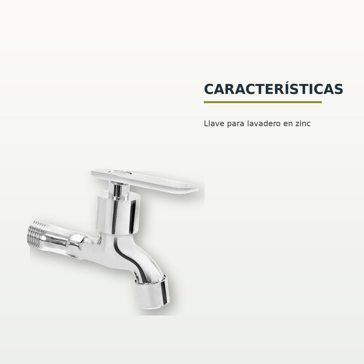 Características confirmadas del producto