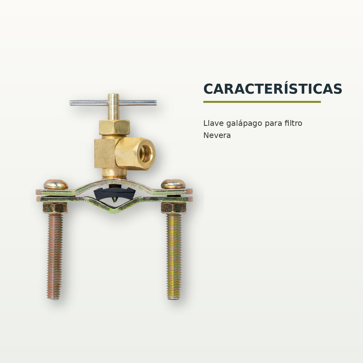 Características confirmadas del producto