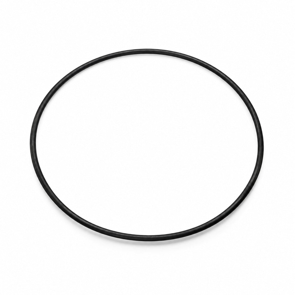 Empaque circular negro de regadera sobre fondo blanco