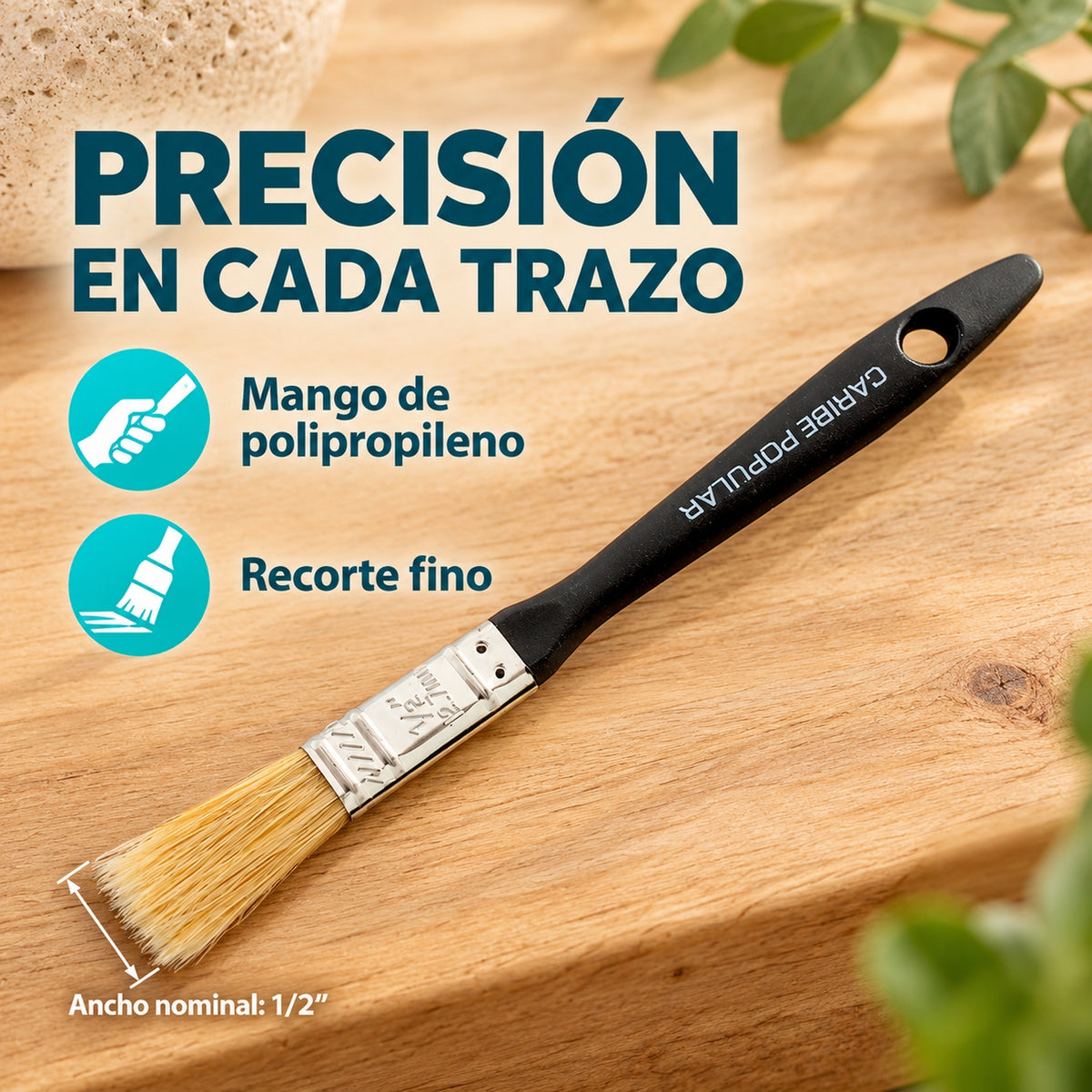 Brocha Popular Negra De 1/2 Pulgadas — características y ancho nominal