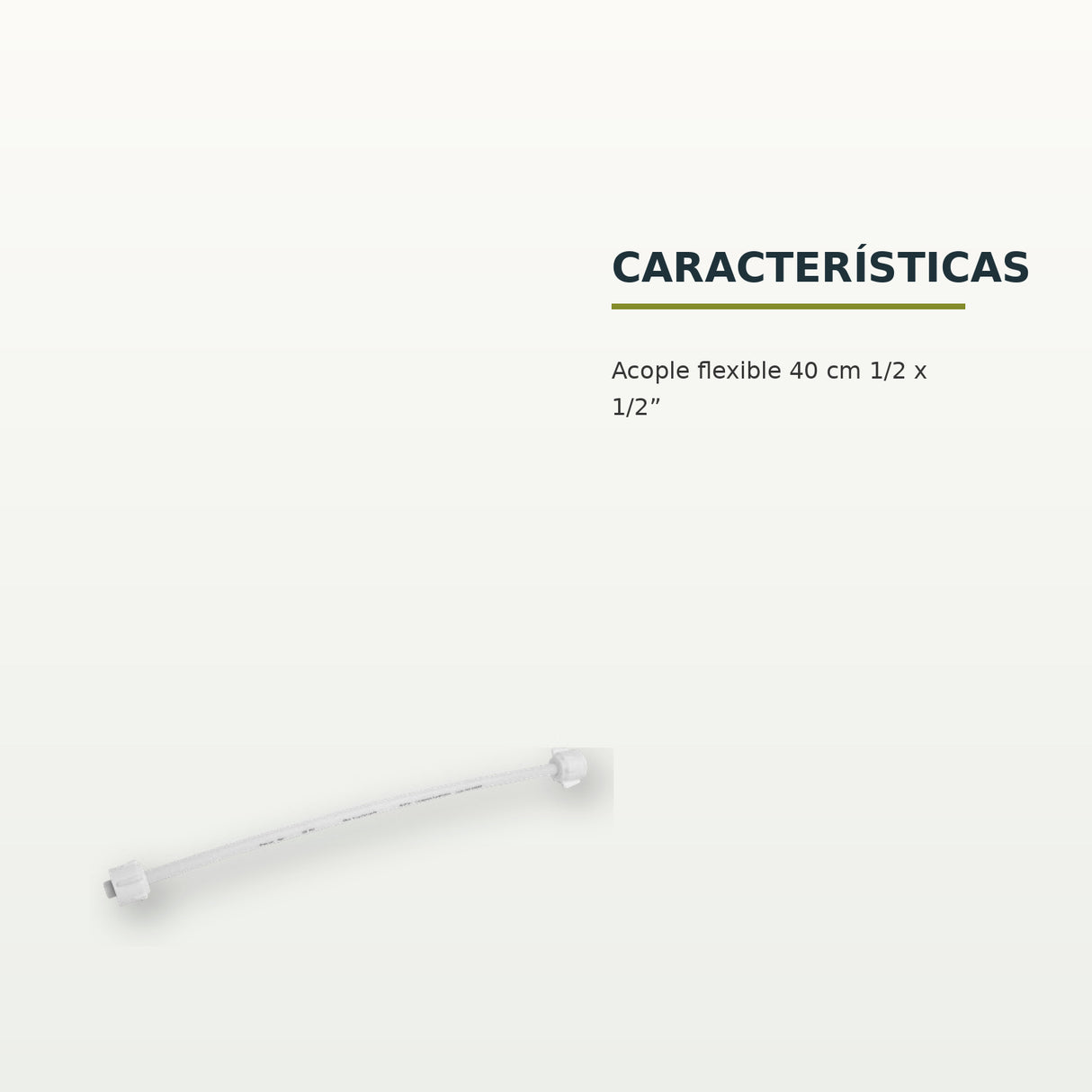 BCH-100: características confirmadas del producto