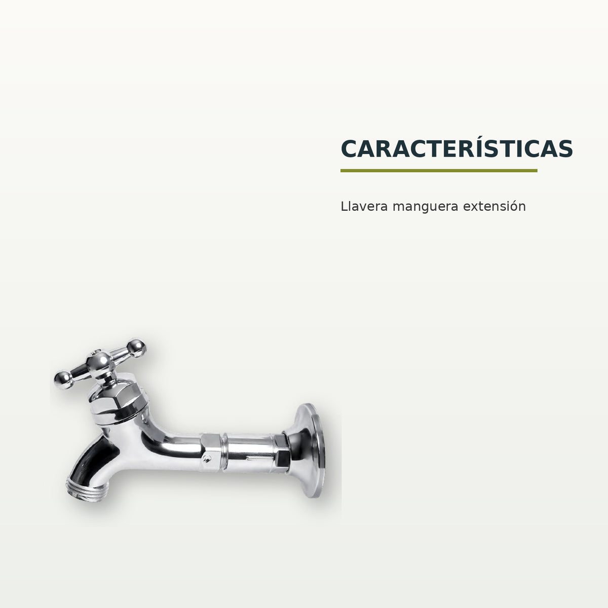 BCH-101: características confirmadas del producto