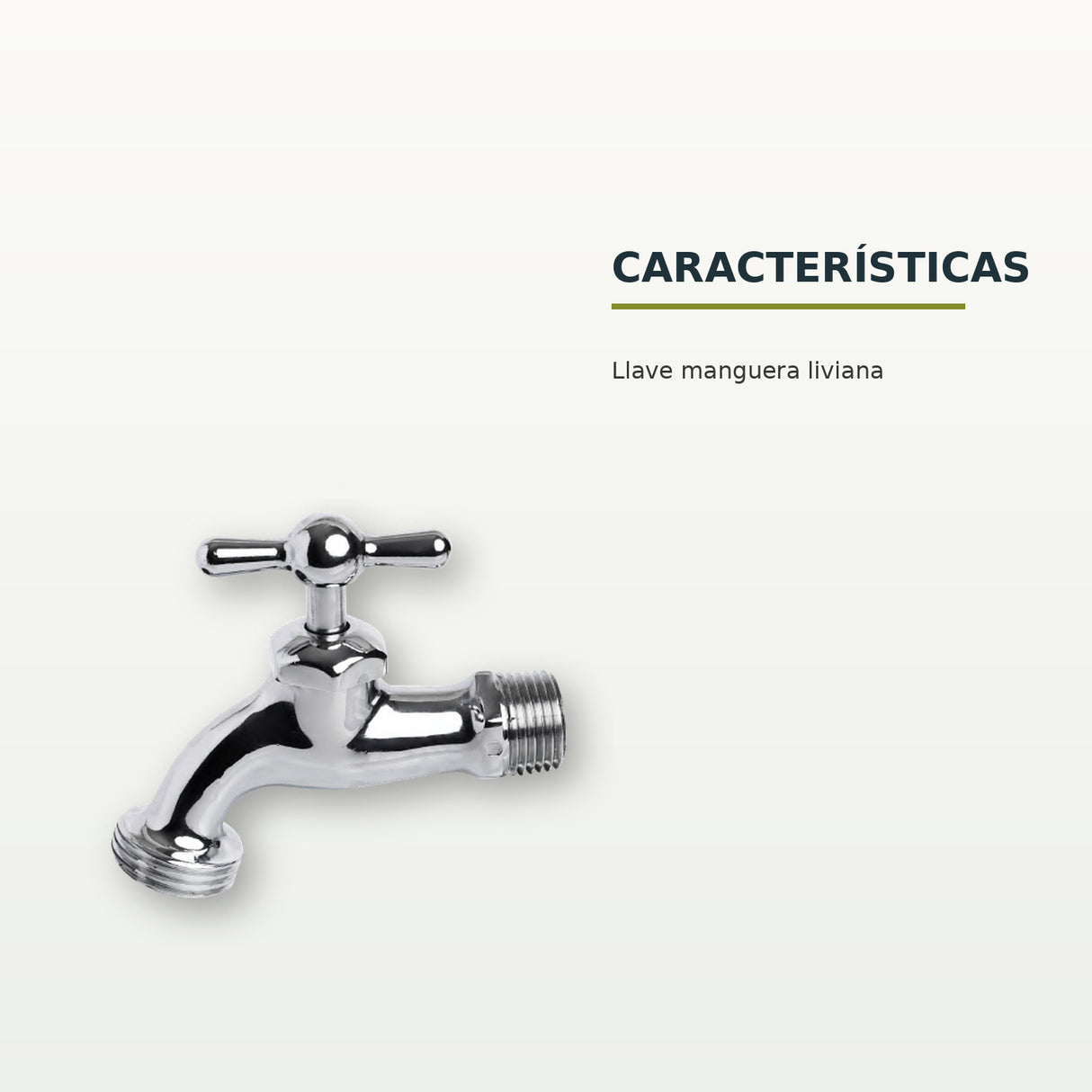BCH-107: características confirmadas del producto