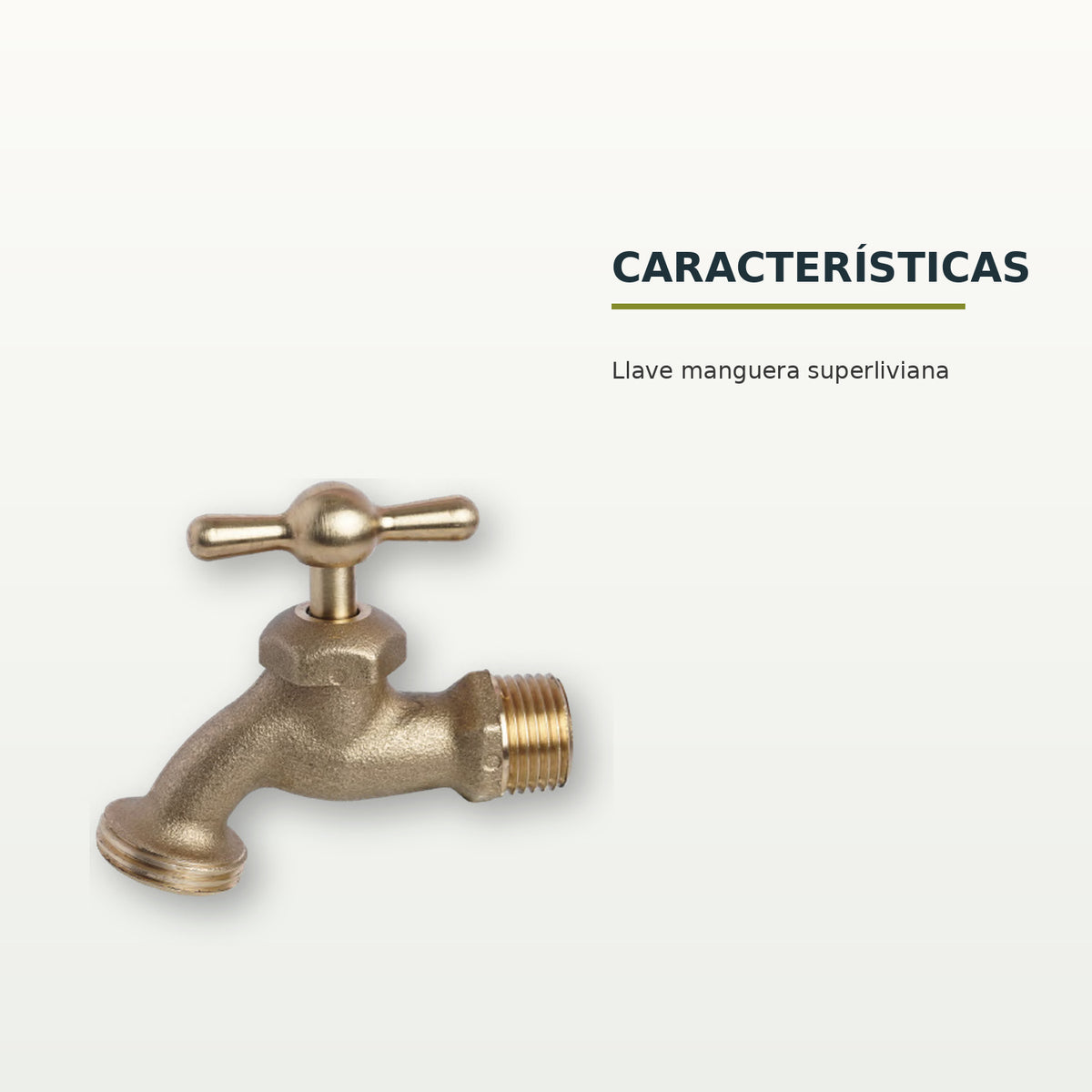 BCH-108: características confirmadas del producto