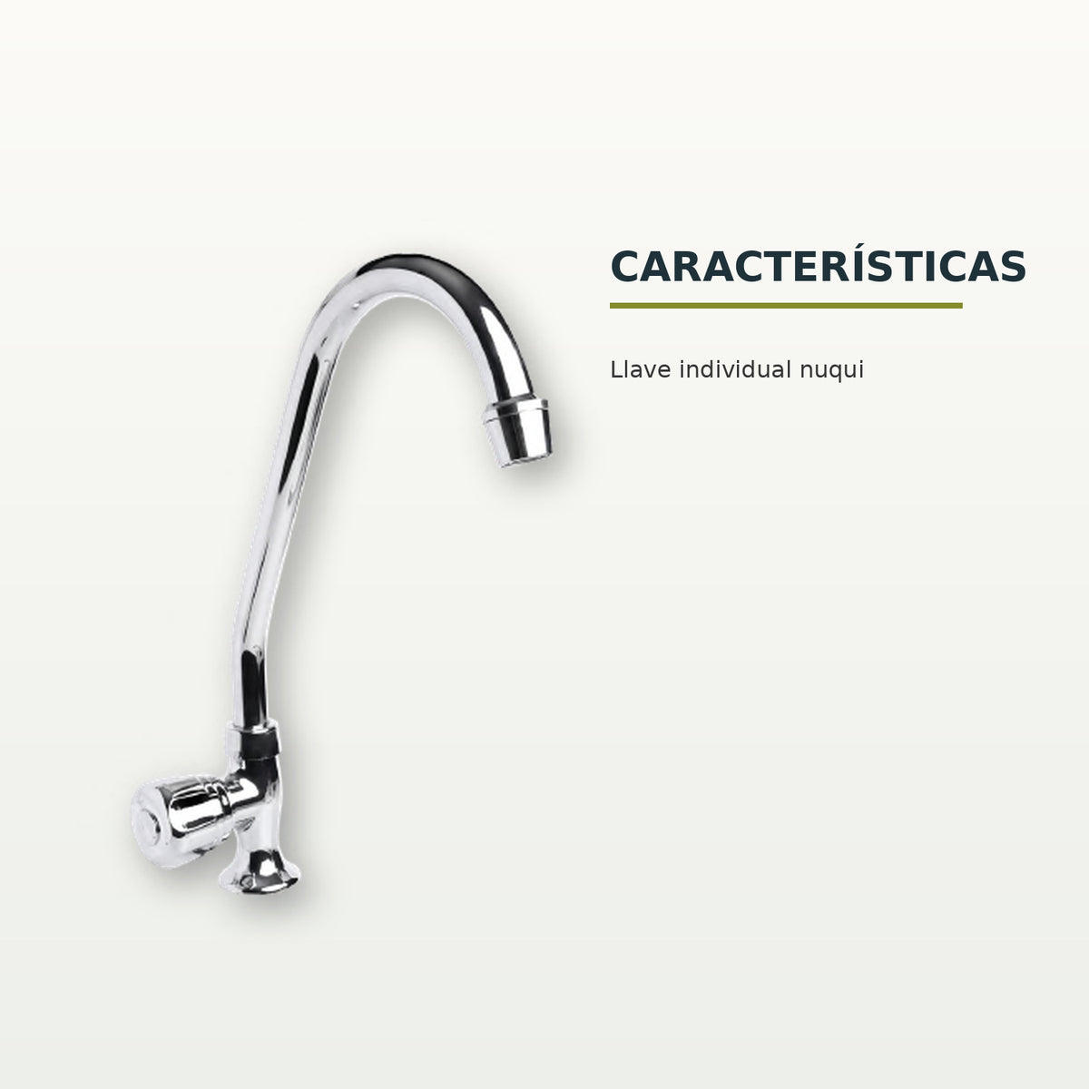 Características confirmadas del producto