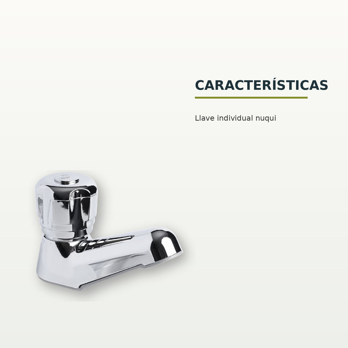 Características confirmadas del producto