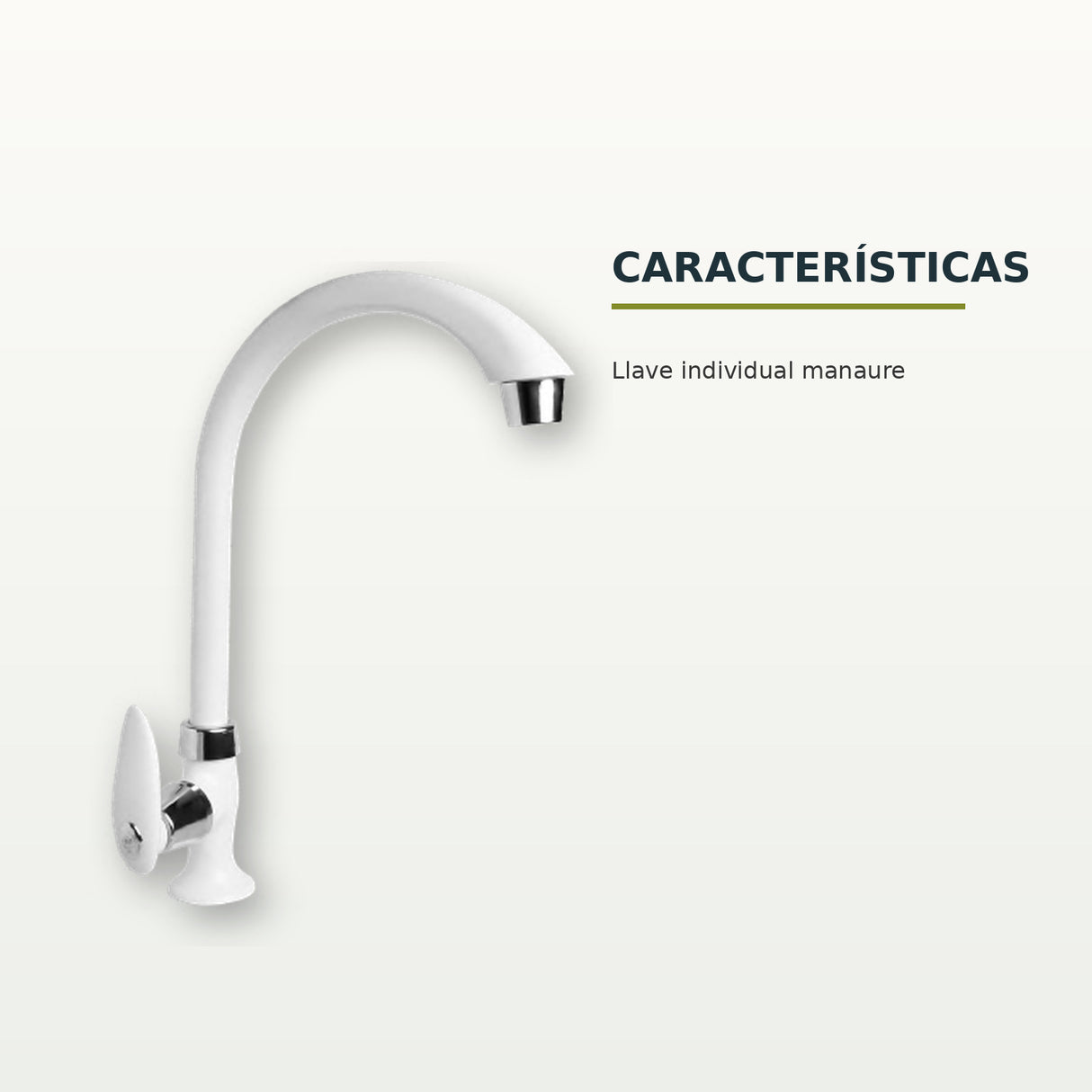 Características confirmadas del producto