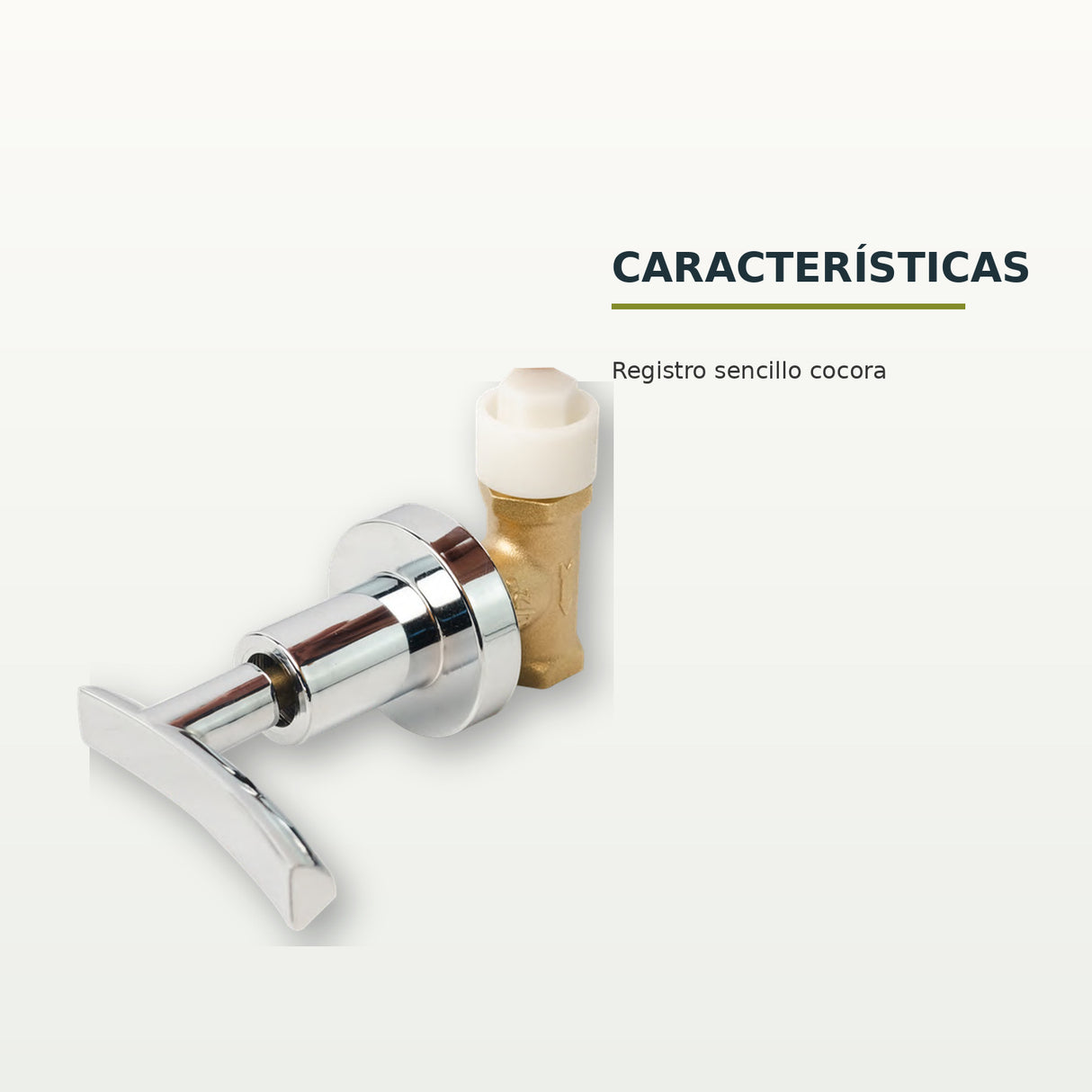 Características confirmadas del registro