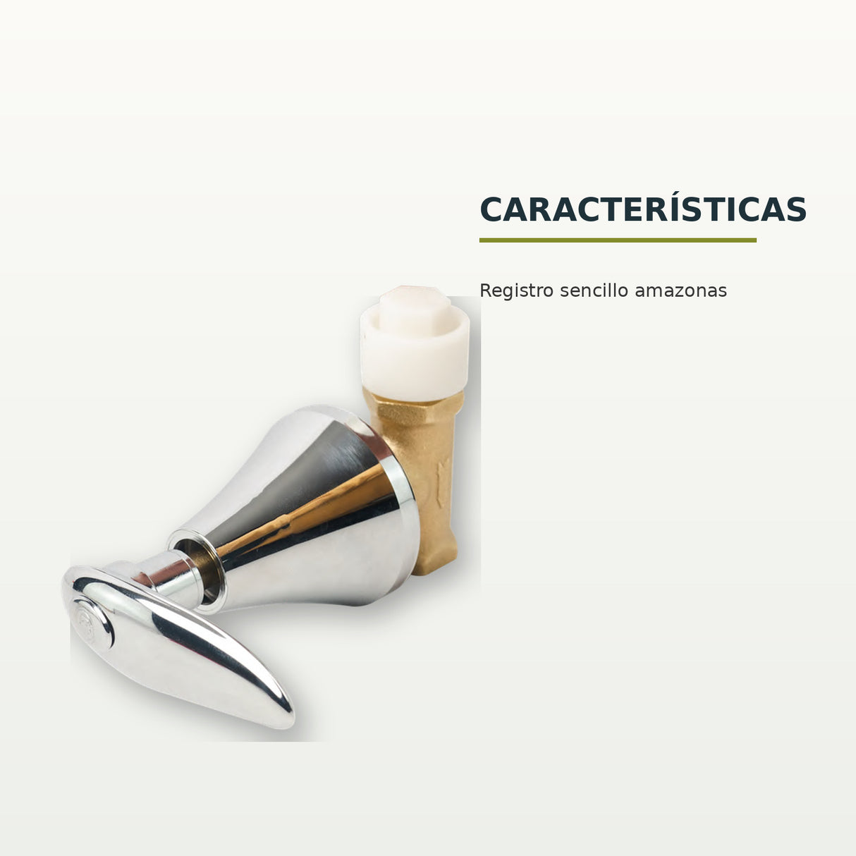 BCH-130: características confirmadas del registro