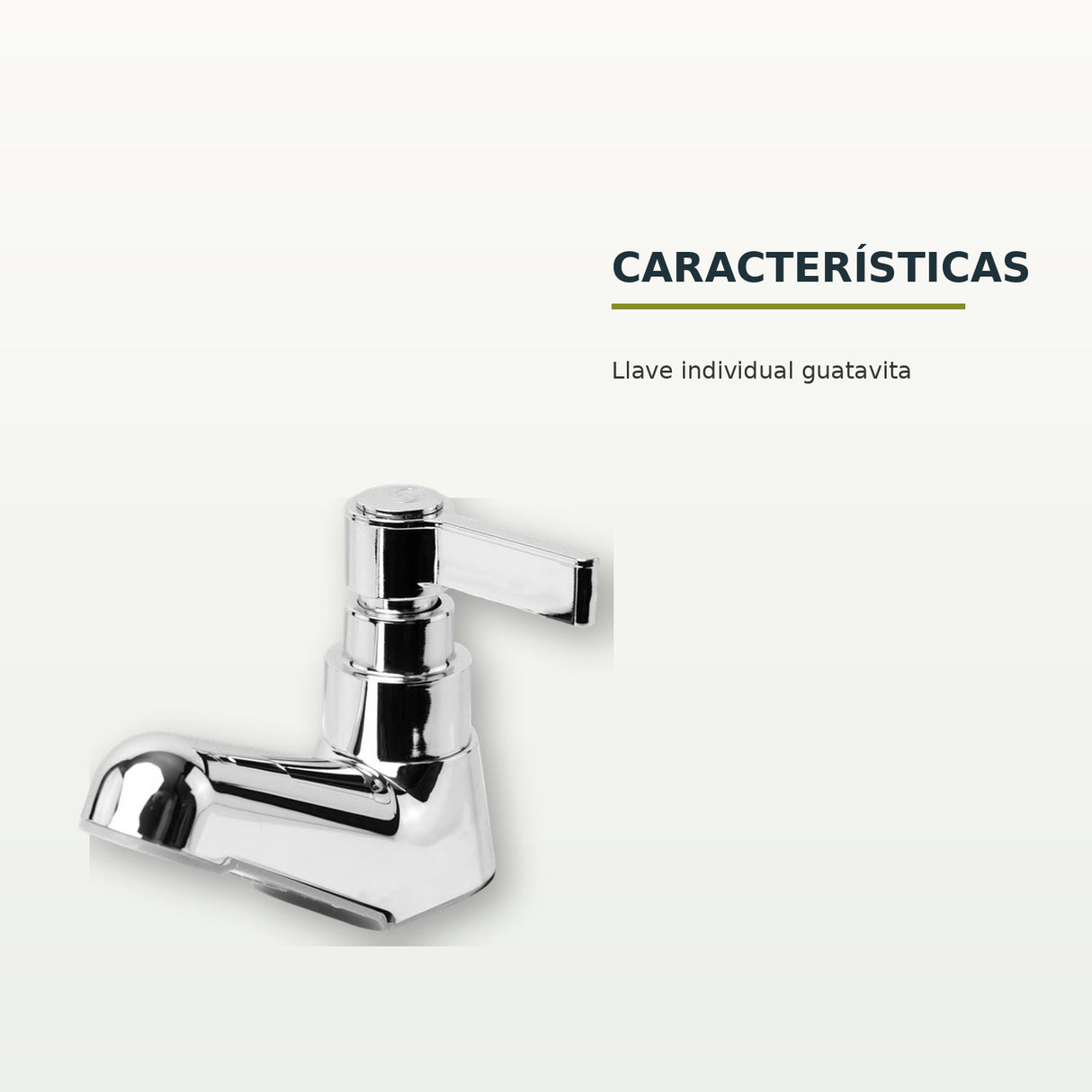 Características confirmadas del producto