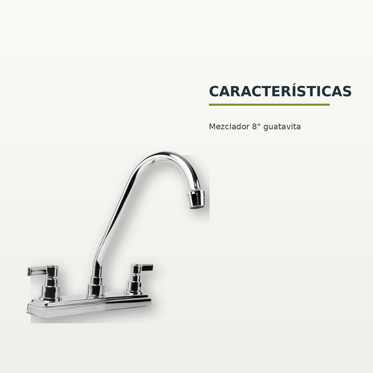 Características confirmadas del producto