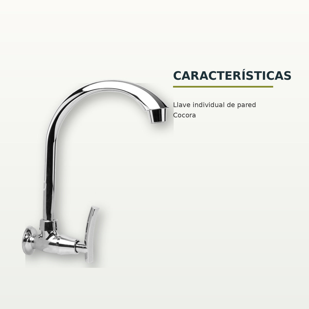 Características confirmadas del producto