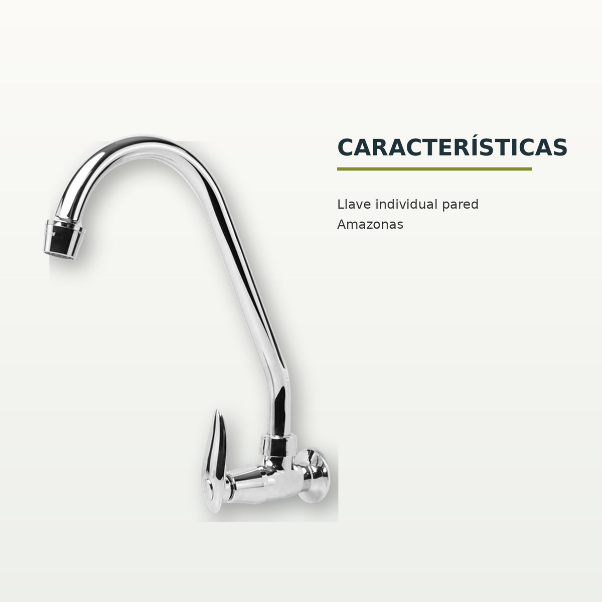 Características confirmadas del producto