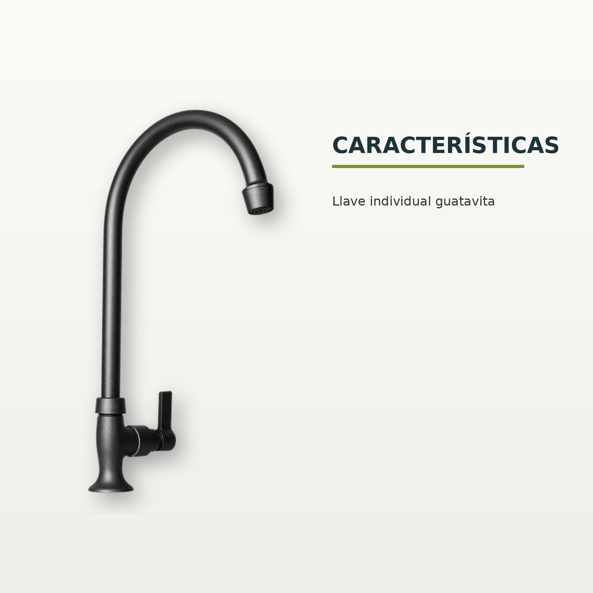 Características confirmadas del producto