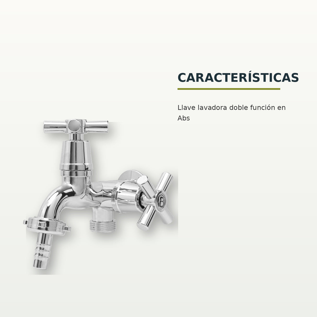 Características confirmadas del producto