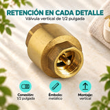 Características de válvula de retención vertical 1/2 pulgada con émbolo metálico