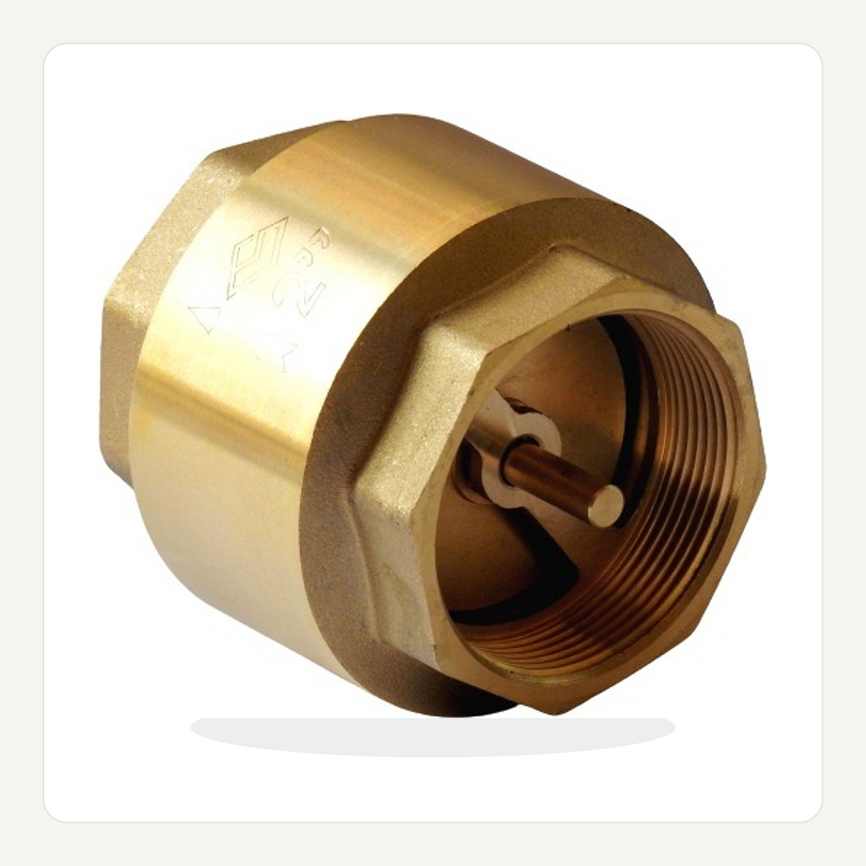 Válvula check vertical pesada de 2 pulgadas sobre fondo claro