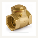 Válvula check de chapaleta de 2 pulgadas sobre fondo claro