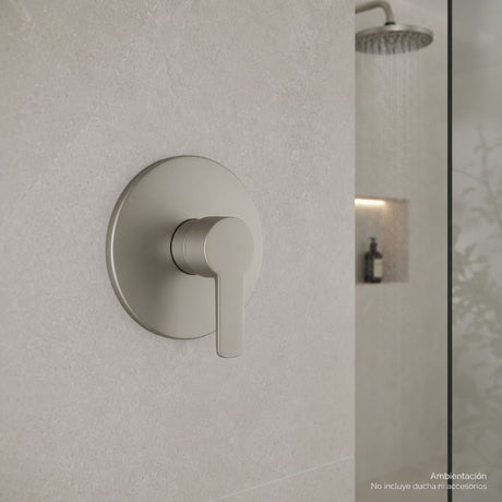 Mezclador satinado instalado en ducha moderna