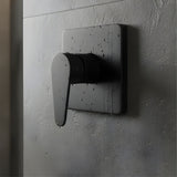 Mezclador Ducha Monocontrol Posto Negro Mate Cuerpo Latón
