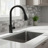 Grifería Monocontrol Lavaplatos Extensible Negro