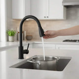 Grifería Monocontrol Lavaplatos Extensible Negro