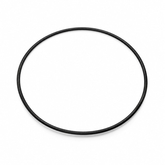 Empaque circular negro de regadera sobre fondo blanco