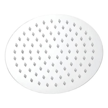 Cabeza de Ducha Redonda Modern de Acero Inoxidable 304 de 8 Pulgadas