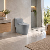 Sanitario One Piece S-Trap 300 Mm Gris 68 X 37,5 X 63 Cm
