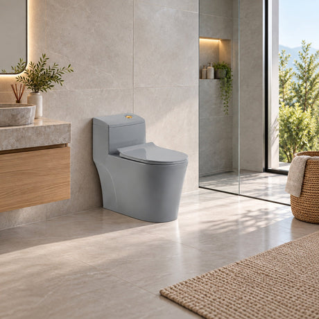 Sanitario One Piece S-Trap 300 Mm Gris 68 X 37,5 X 63 Cm