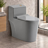 Sanitario One Piece S-Trap 300 Mm Gris 68 X 37,5 X 63 Cm