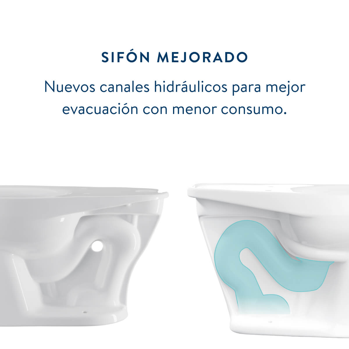 Taza Adriatico Plus Entrada Superior