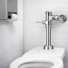 Fluxómetro de Palanca para Sanitario con Entrada de 1 Pulgada