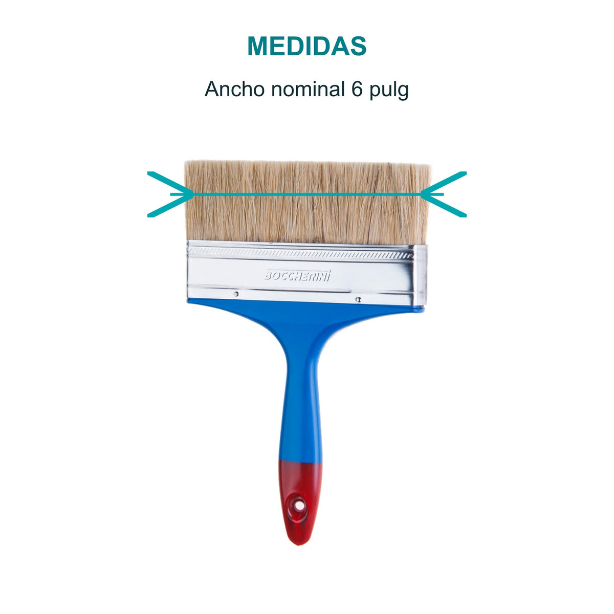 Medidas de Brocha para pintura de 6 pulgadas con mango plástico