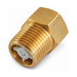 Válvula Minicheck Hembra-Macho 3/4" NPT - Minicheck exacta en fondo blanco